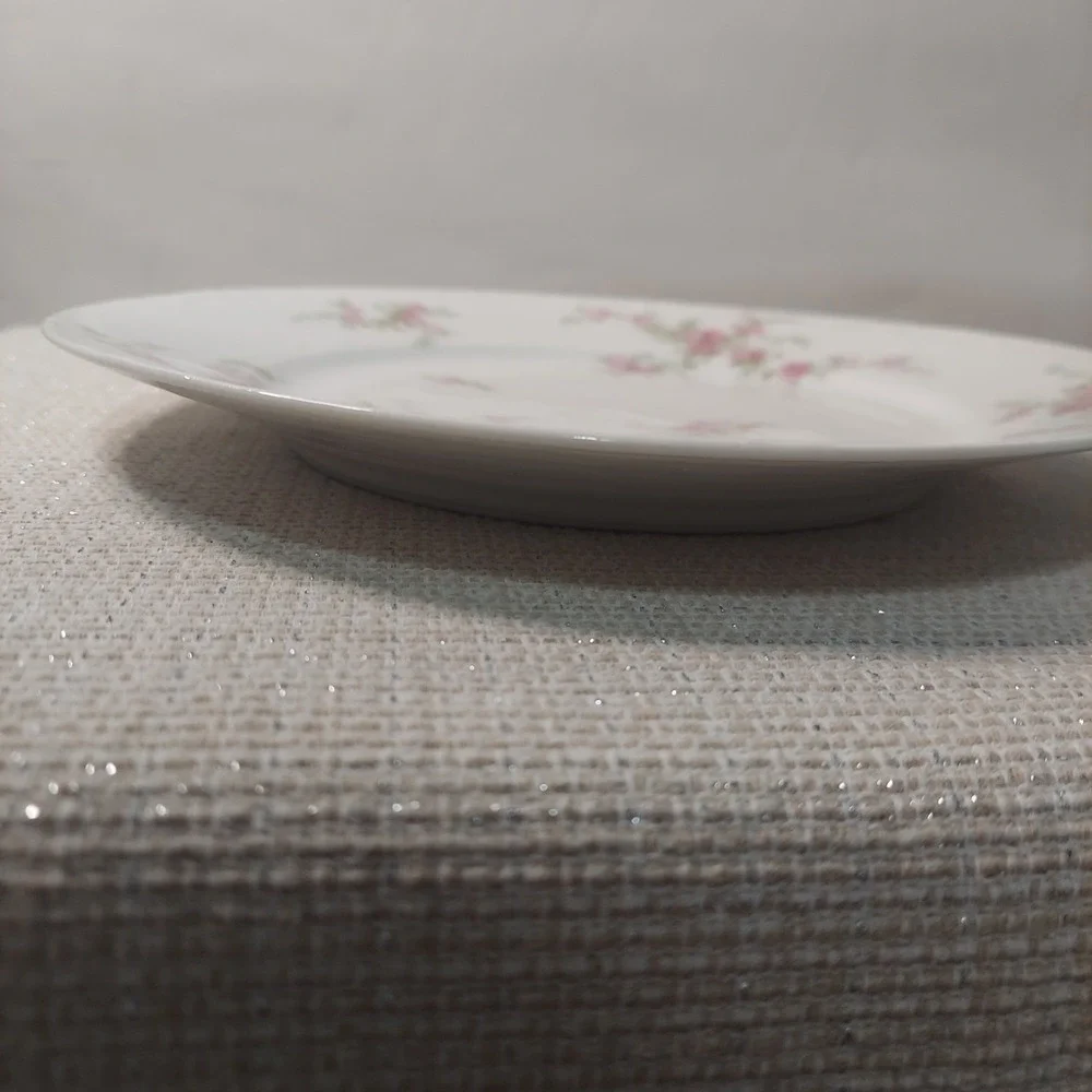 ANTIQUE Theodore Haviland Limoges France Patent Applied 2 Dinner‎ Plates Floral